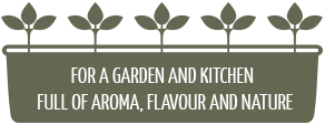 Hetty's Herbs