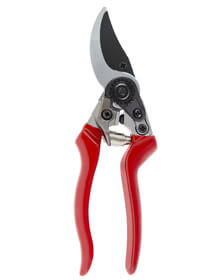 Professional Pruner