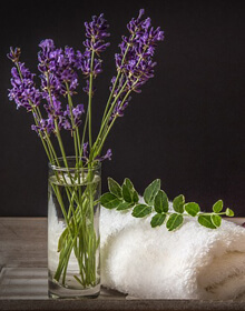 Well Being Herb Collection – Herbs to Help Support Health & Wellness